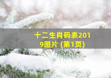 十二生肖码表2019图片 (第1页)